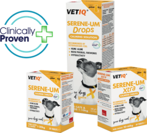 VETIQ Serene-UM – Clinically Proven Newly Branded Yellow Dog UK Partnership Mark + Chappell 425px