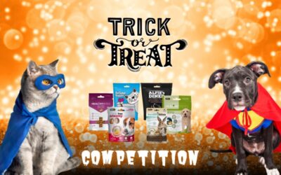 Trick or Treat! Halloween Competition 2021
