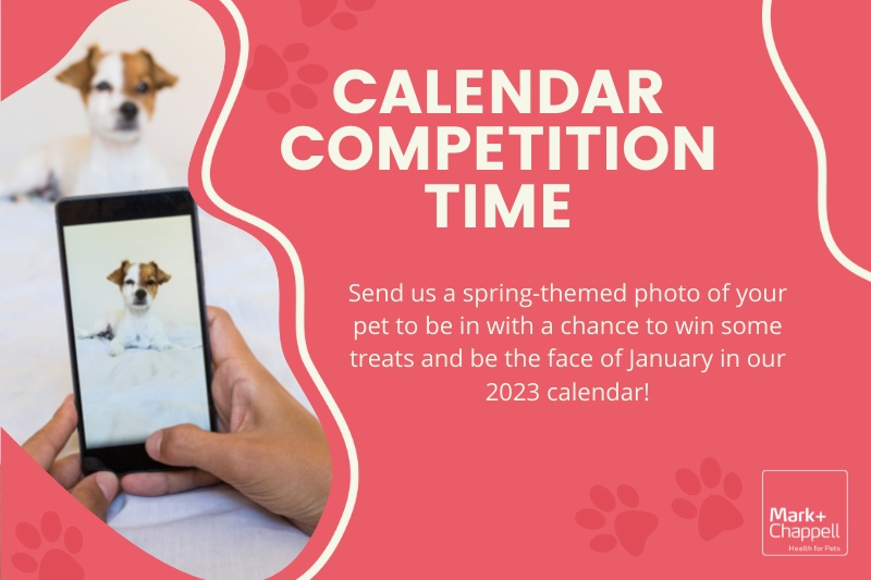 Calendar Competition January 2022 – Mark + Chappell