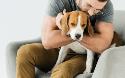 Why Some Dogs Don’t Like Hugs: Explaining Canine Anxiety