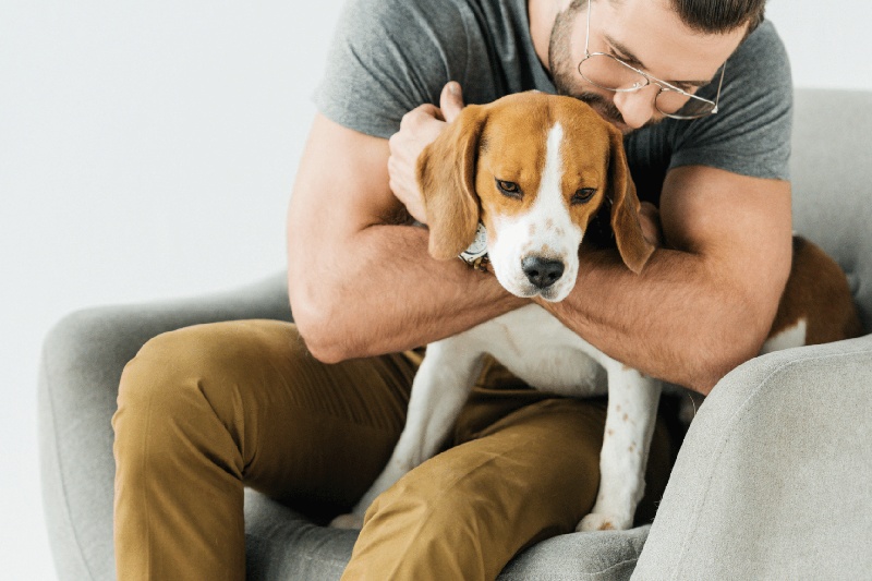 Why Some Dogs Don't Like Hugs - Mark + Chappell (1)