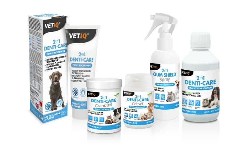 Improve Bad Dog Breath - Tips For Better Canine Oral Hygiene - VetIQ (4)