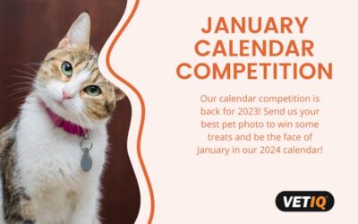 VetIQ Calendar Competition – January 2023