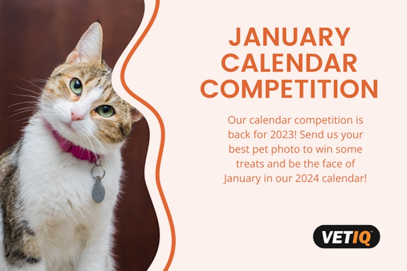 VetIQ Calendar Competition – January 2023