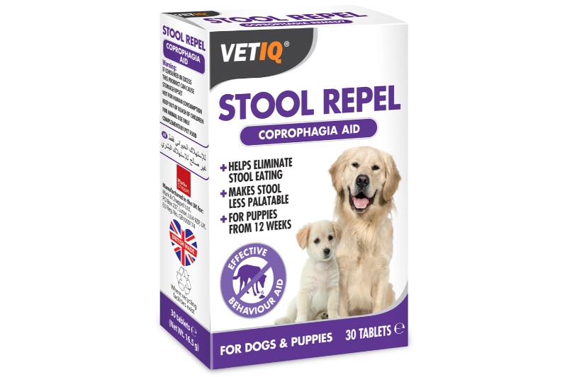 Why Is My Dog Eating Poop And How Can I Stop It? - VetIQ (4)