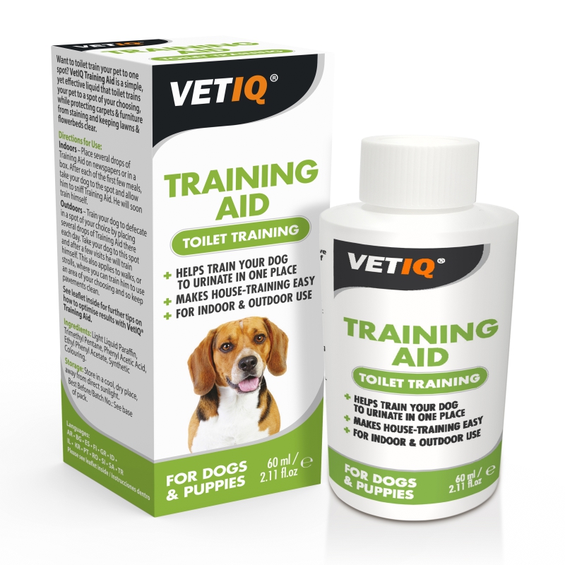 4 Essential Steps For Toilet Training A Dog - VetIQ (3)