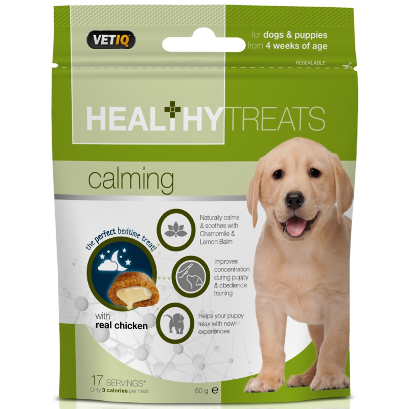 Is Your Dog Eating Grass? Find Out Why! - VETIQ (3)