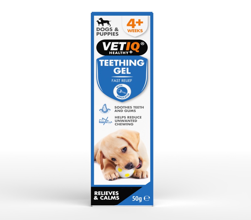 The Benefits Of Puppy Teething Gel - VETIQ (2)