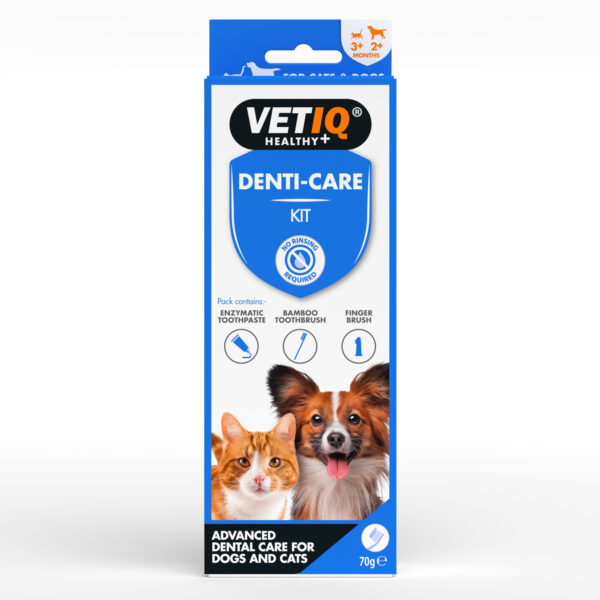 70g, Dog Cleaning Products Reduce Tartar Build-Up & Give Your Dog Fresh Breath, Fresh Dog Breath - 6 PACK, Puppy Toothpaste With No Artificial Ingredients, VetIQ 2in1 Denti-Care Edible Dog Toothpaste