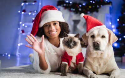 Enjoying A Safe And Peaceful Christmas With Pets