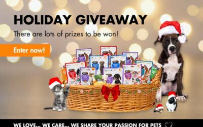 Holiday Giveaway December 2023