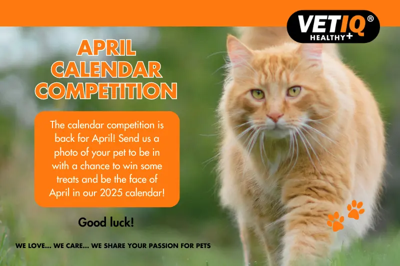 VETIQ Calendar Competition April 2024