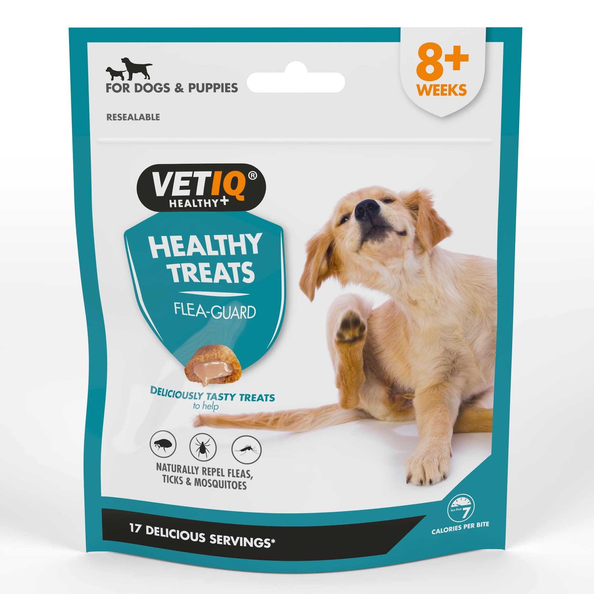 What To Do If Your Pet Has Fleas! - VETIQ (5)