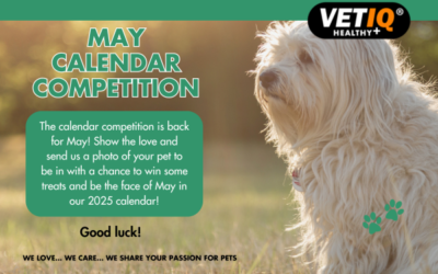 VETIQ Calendar Competition May 2024