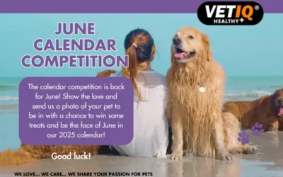 VETIQ Calendar Competition June 2024