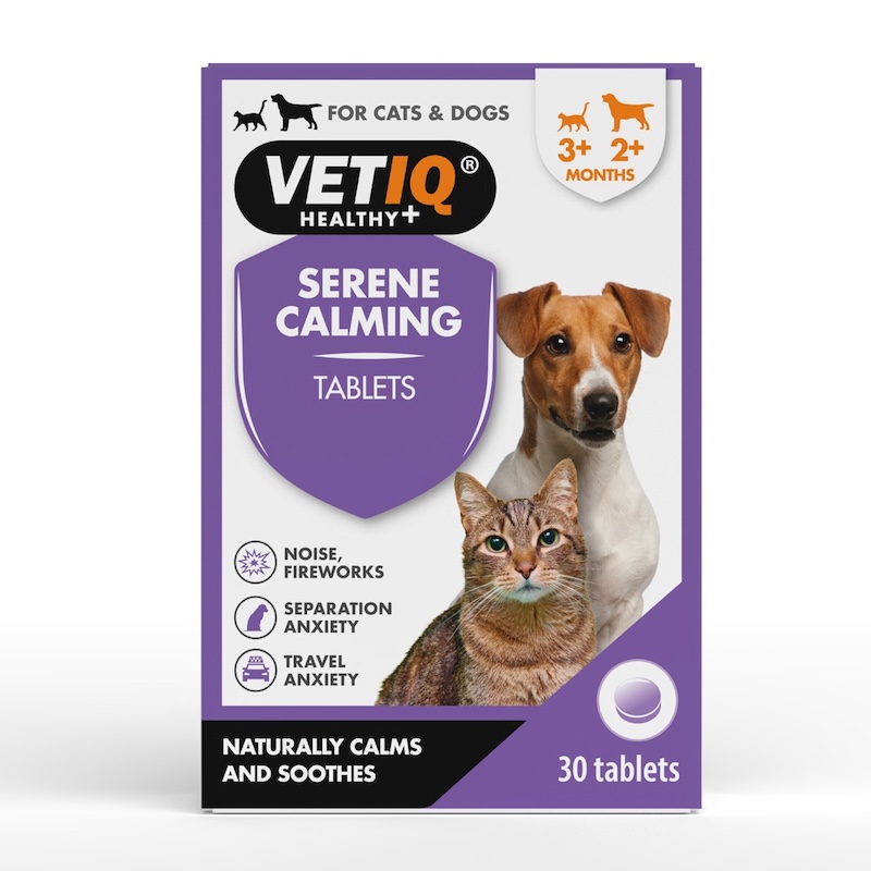 Great Tips For Travelling With Pets This Summer - VETIQ (7)