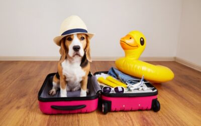 Our Complete Checklist For Travelling With Your Pets This Summer