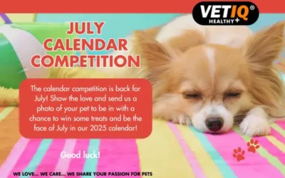 VETIQ Calendar Competition July 2024