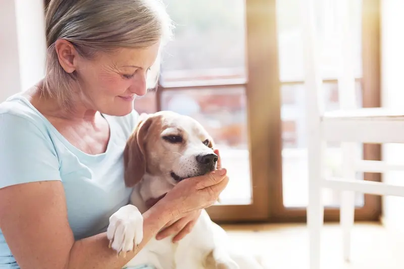 The Benefits Of Natural Pet Supplements