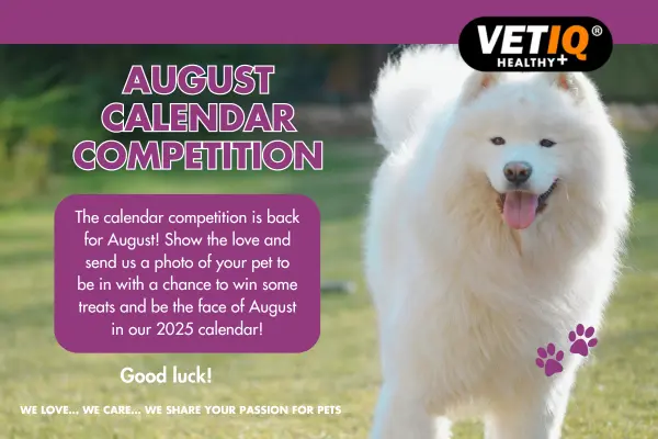 VETIQ Calendar Competition August 2024